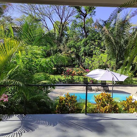 House In The Palm Forest Puerto Carrillo Luaran gambar
