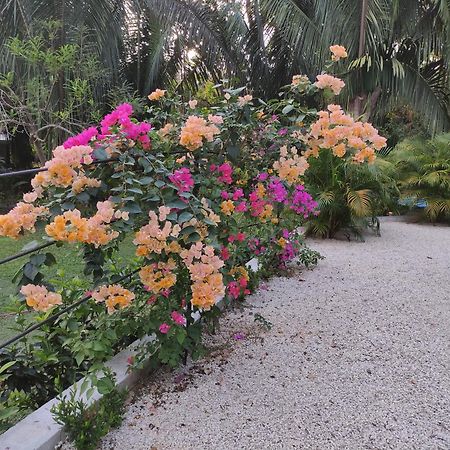 House In The Palm Forest Puerto Carrillo Luaran gambar