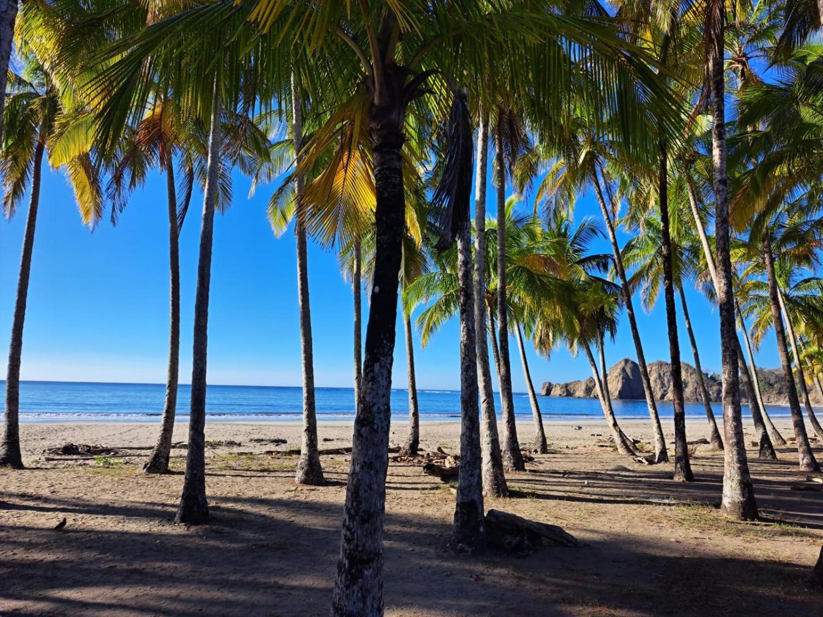 House In The Palm Forest Puerto Carrillo Luaran gambar