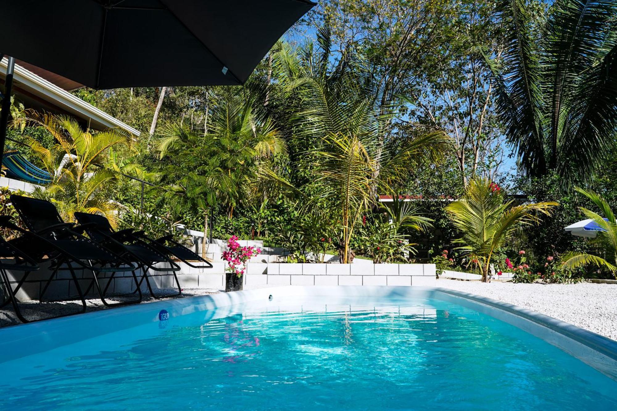 House In The Palm Forest Puerto Carrillo Luaran gambar