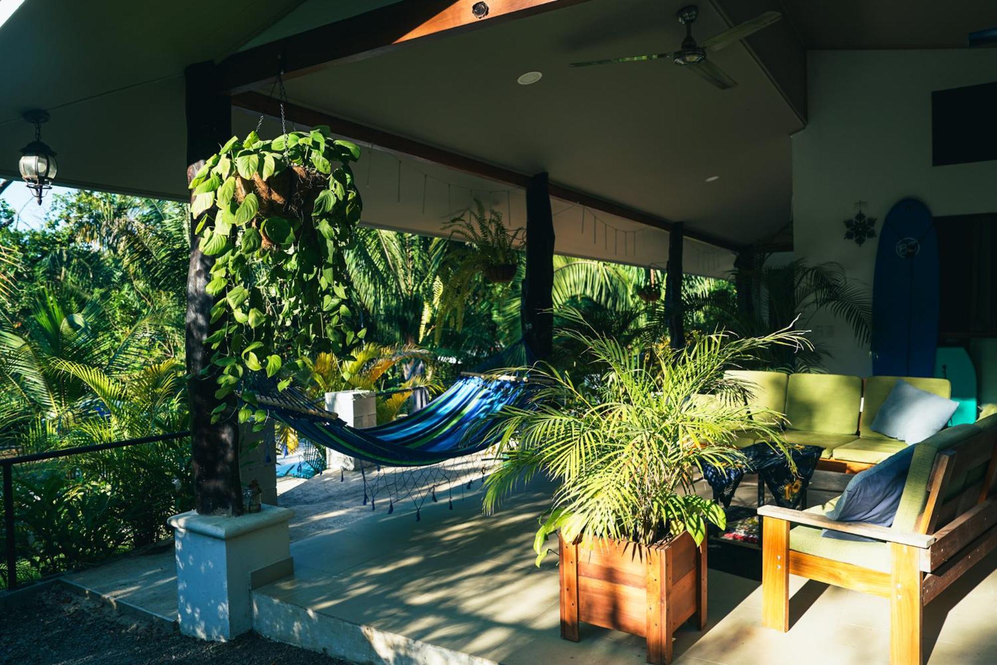 House In The Palm Forest Puerto Carrillo Luaran gambar
