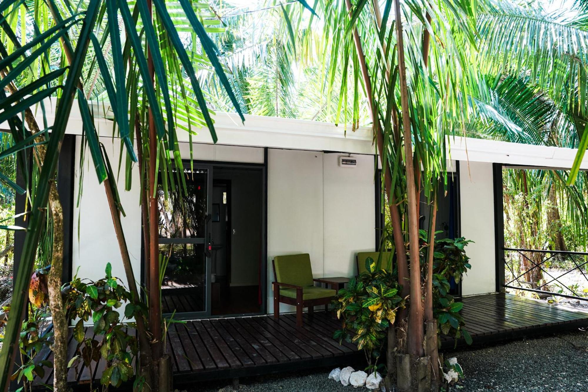 House In The Palm Forest Puerto Carrillo Luaran gambar