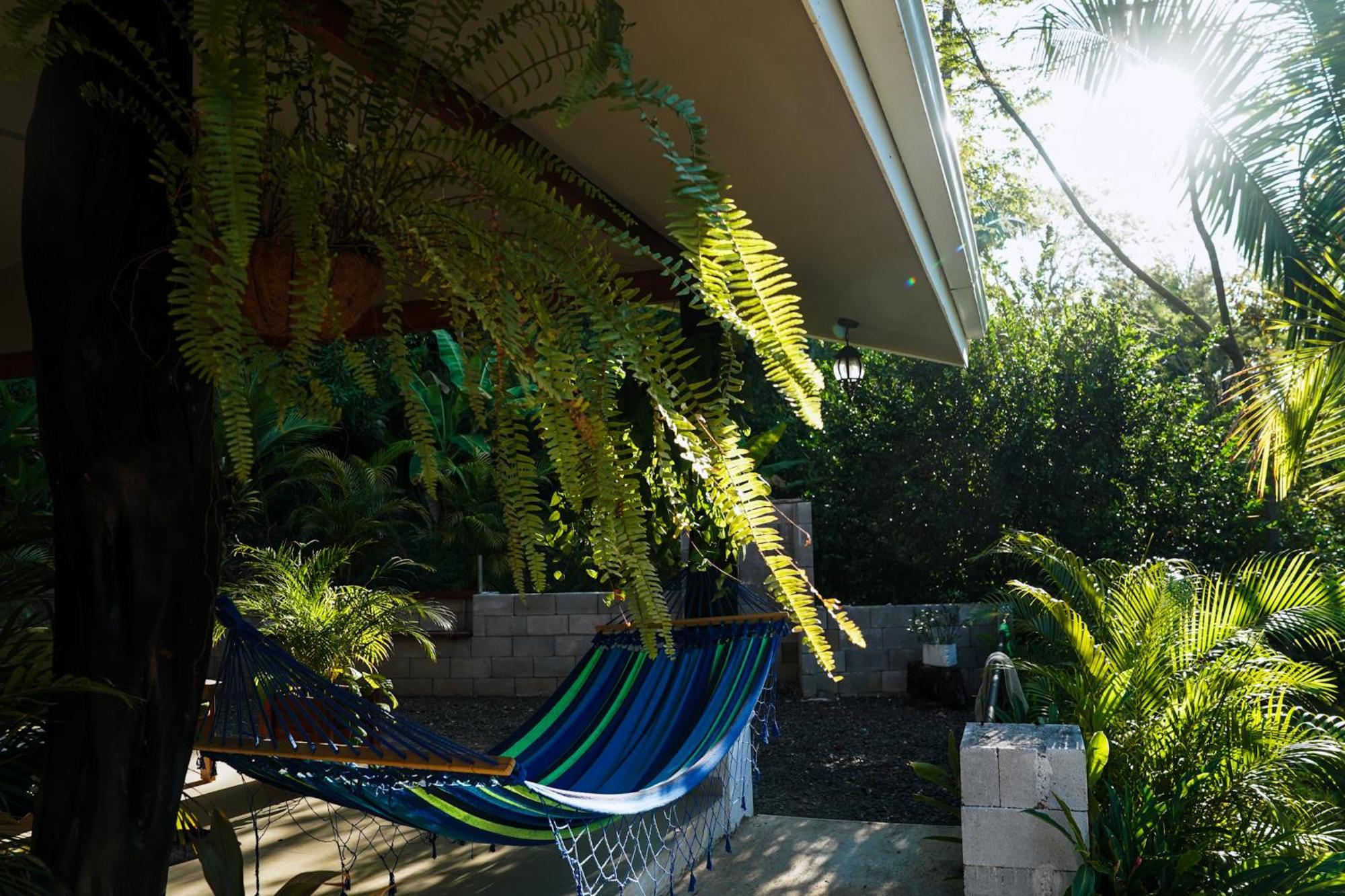 House In The Palm Forest Puerto Carrillo Luaran gambar