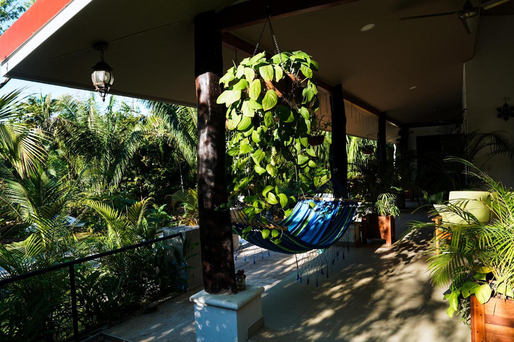 House In The Palm Forest Puerto Carrillo Luaran gambar