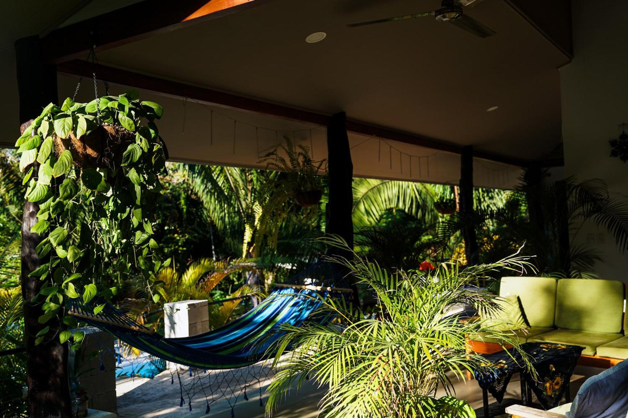 House In The Palm Forest Puerto Carrillo Luaran gambar