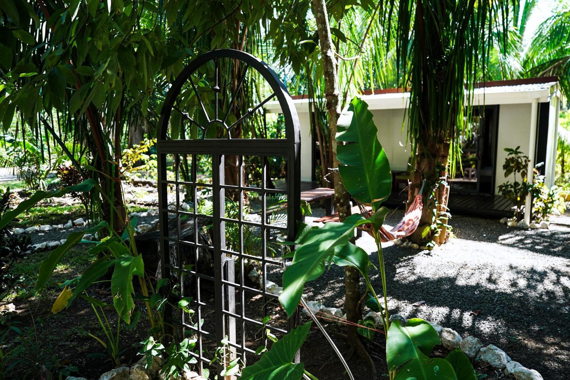 House In The Palm Forest Puerto Carrillo Luaran gambar