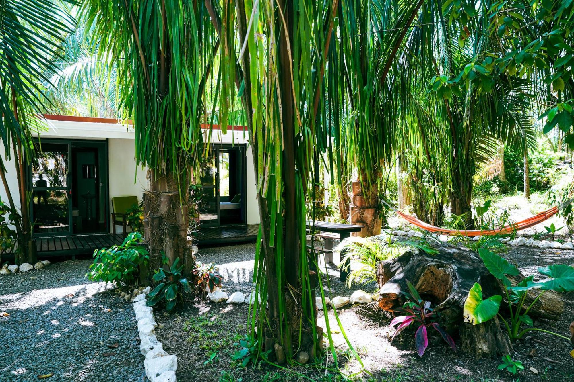 House In The Palm Forest Puerto Carrillo Luaran gambar