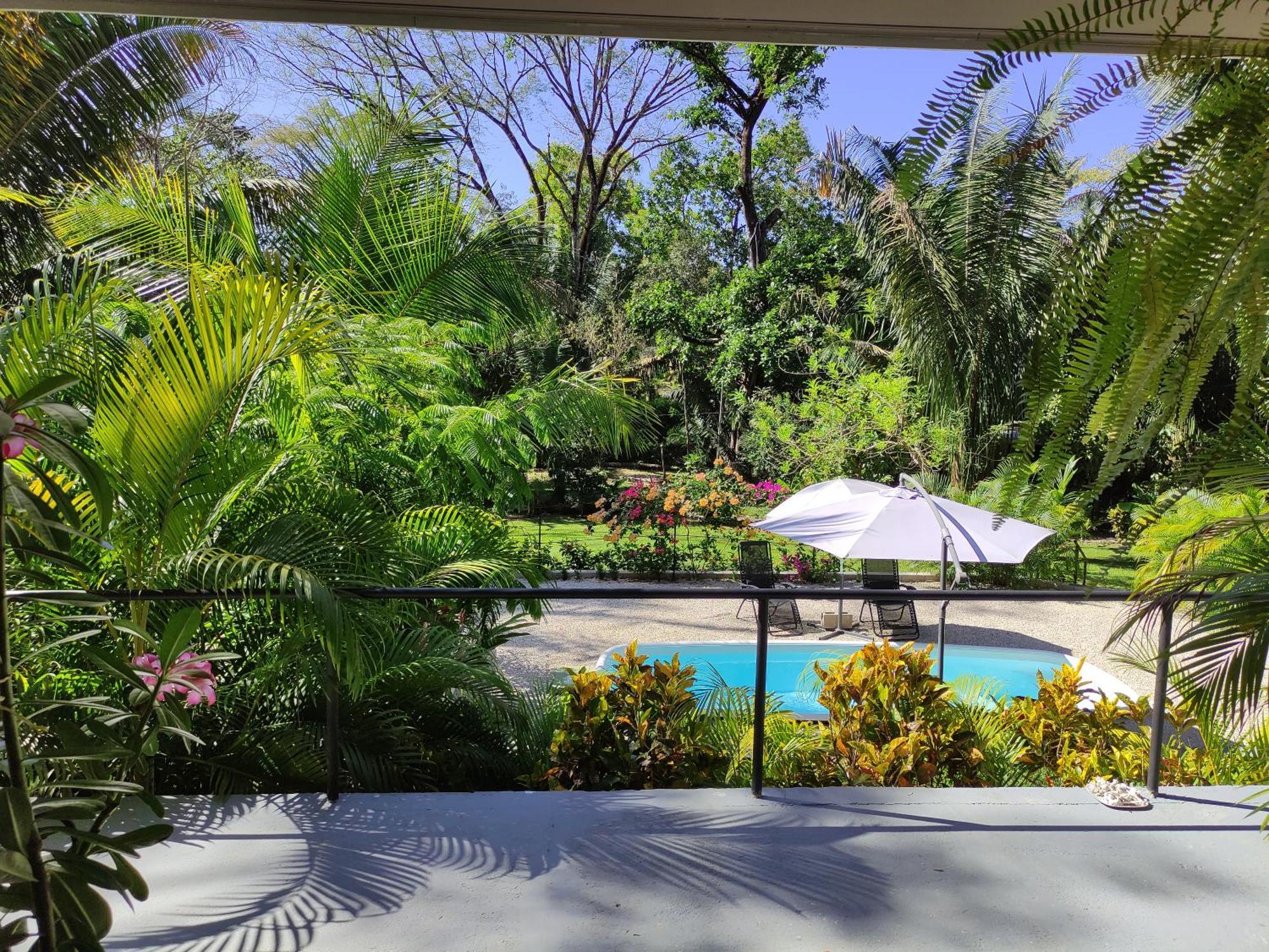 House In The Palm Forest Puerto Carrillo Luaran gambar